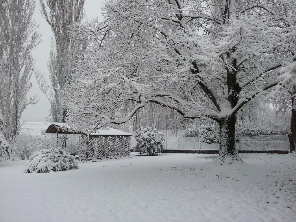 I Quarti Villa Guarda Veneta Exterior foto